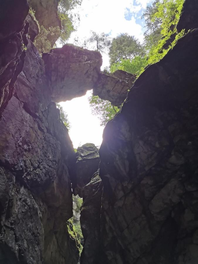 Ferienwohnung Nest Wangen im Allgäu Exteriér fotografie